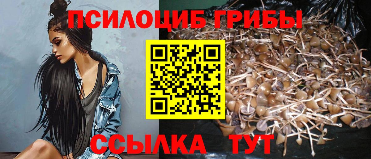 Дмитров  Псилоцибиновые грибы GOLDEN TEACHER  наркотики  Вход с VPN 